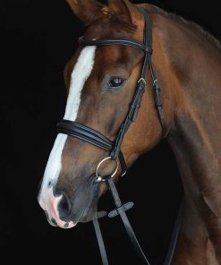 Collegiate Padded Raised Cavesson bridle in black
