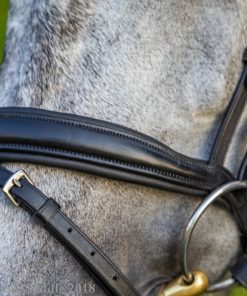 Collegiate Mono Crown Padded Raised Flash Bridle noseband detailing on a dapple gray horse