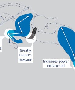 prolite anatomic girth jumping benefits