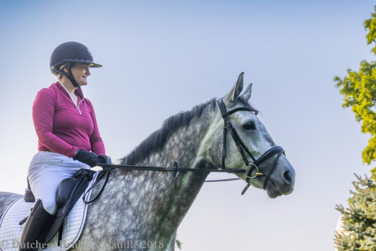 Veritas saddles banner