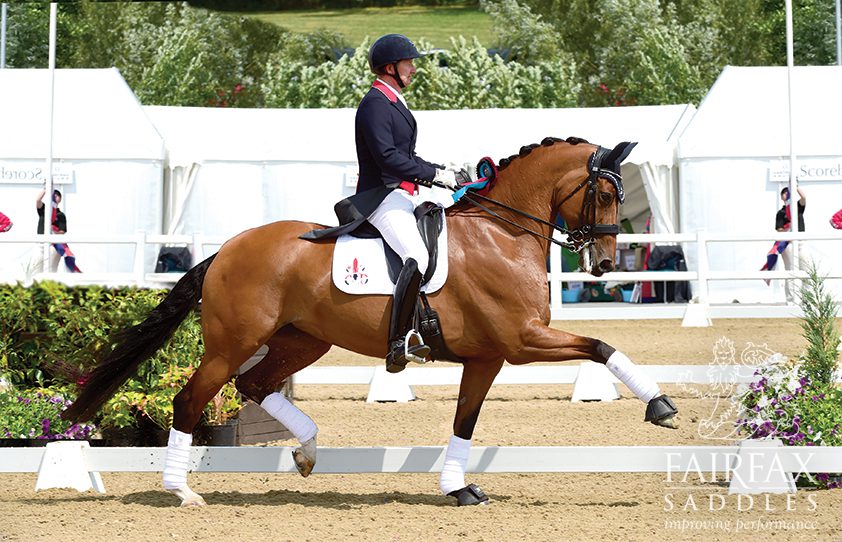 Fairfax Saddles Dressage