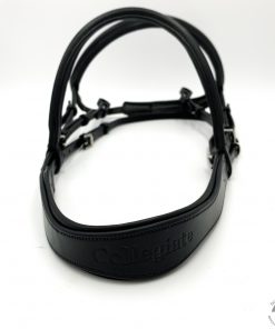 Collegiate Bridle