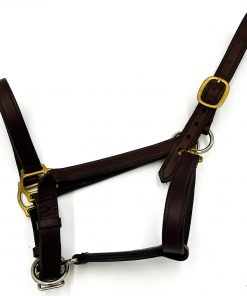 0354H Leather Halter Profile